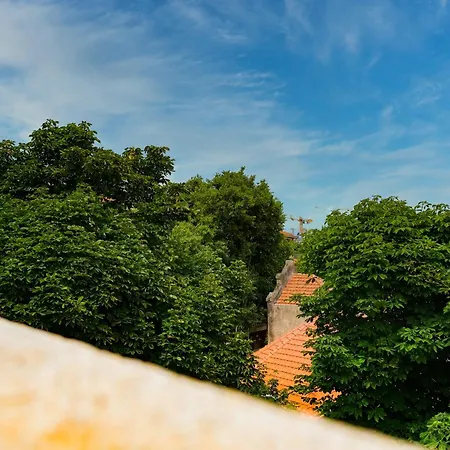 Nomad's Fine Arts Collection *