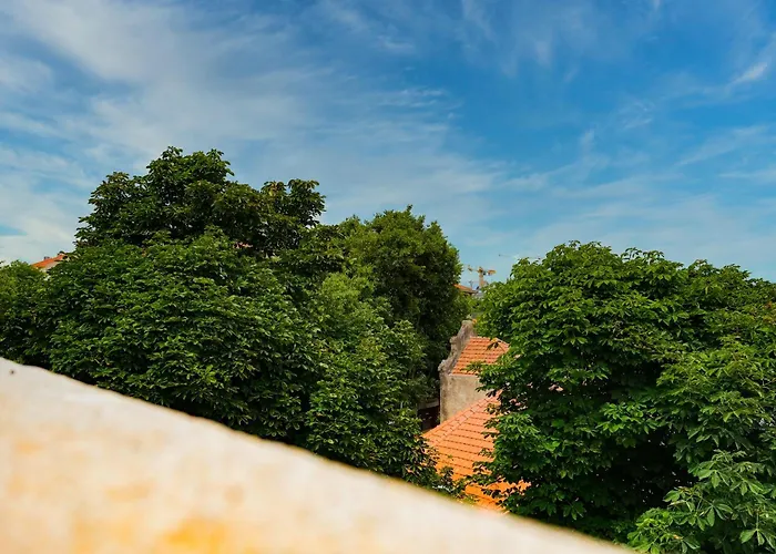 Nomad's Fine Arts Collection *